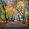25 tysięcy drzew dla Krakowa w podziękowaniu za Nobla