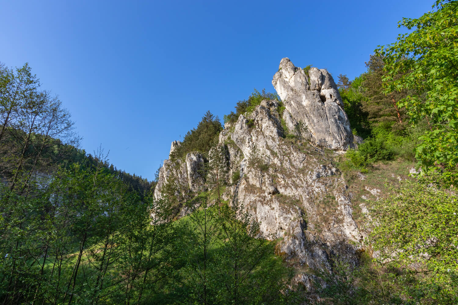 Dolina Bolechowicka 