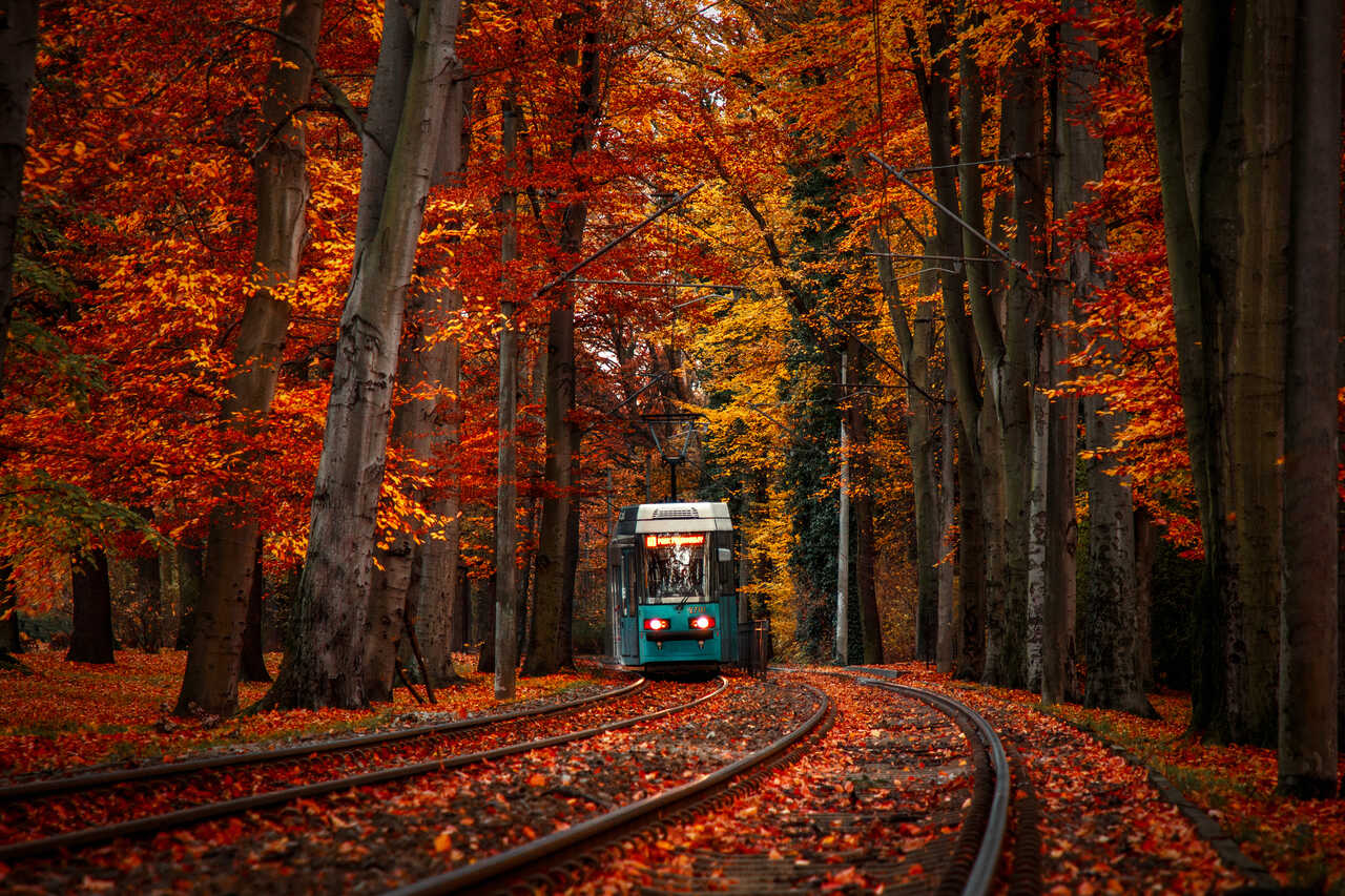 tramwaj jesienią